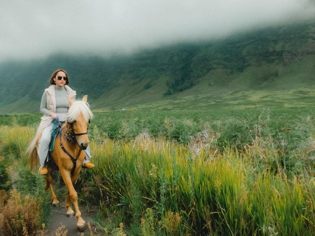 instagram.com/bclsinclair