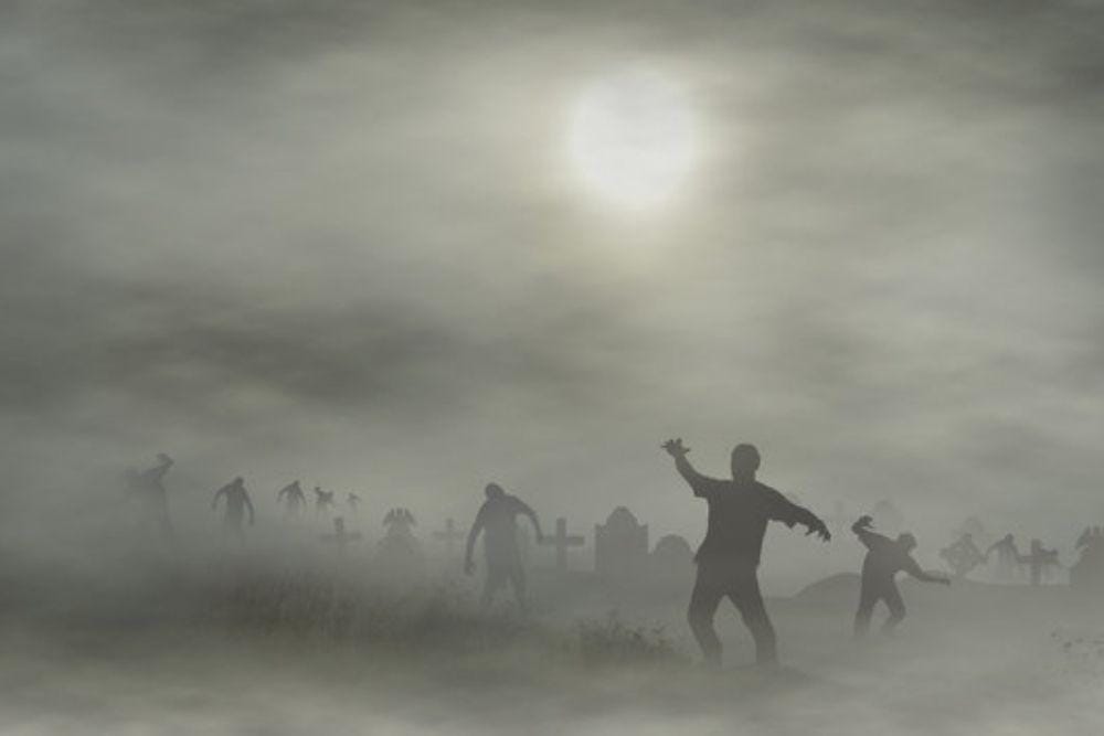 stock.adobe.com/stuart