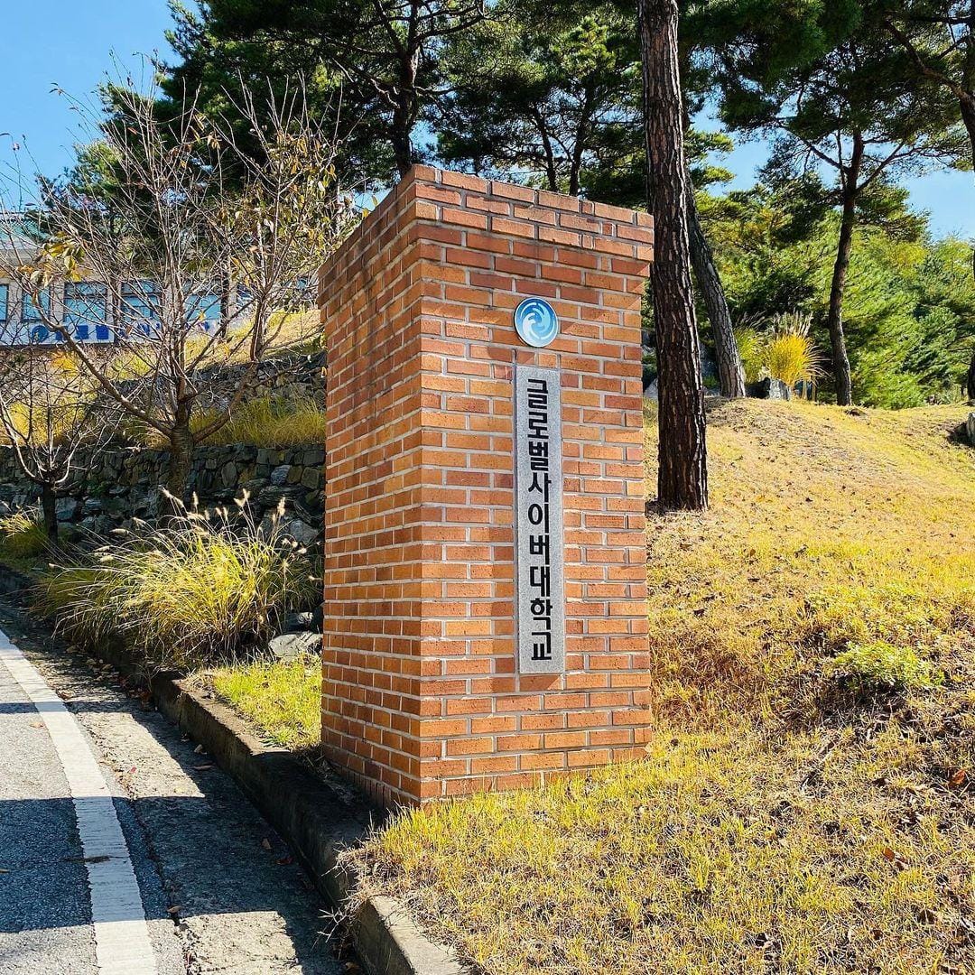 instagram.com/global_cyber_university