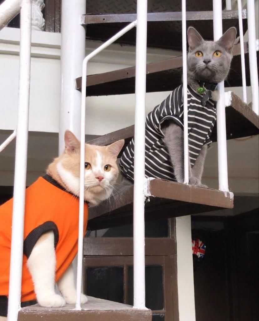 instagram.com/lxx_pororo