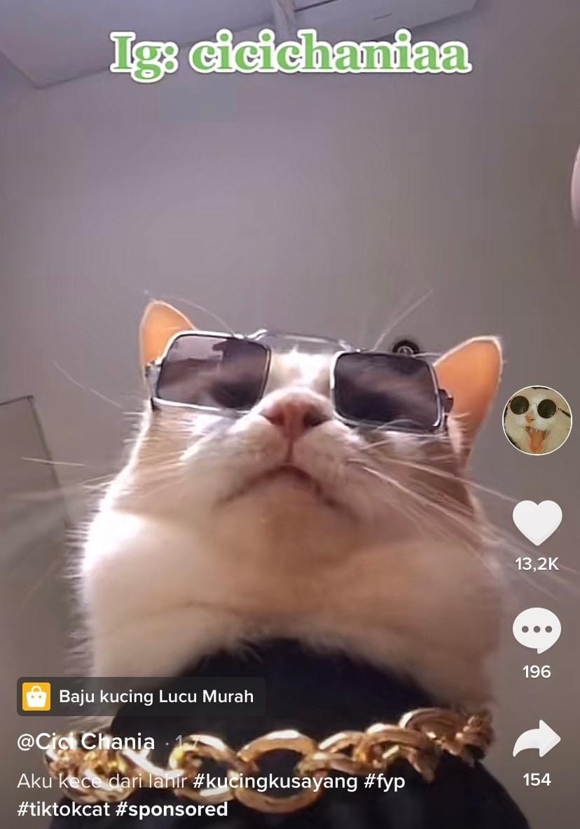 tiktok.com/cicichania96