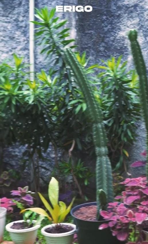 Instagram.com/uusbiasaaja