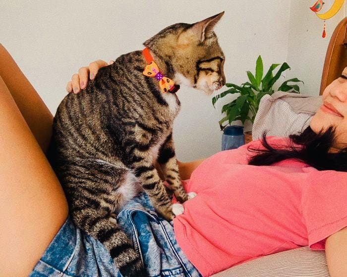 popbela.com/AyuUtami