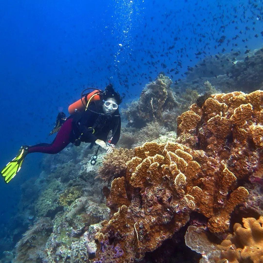 instagram.com/trinitytraveler