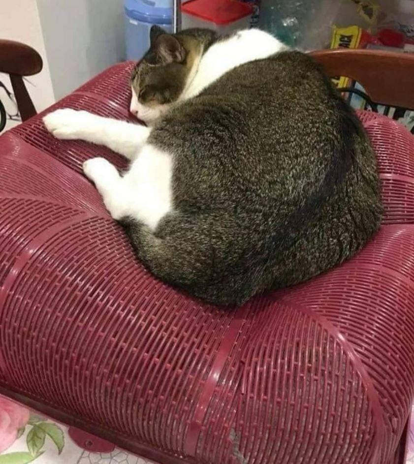 instagram.com/sejay_mantap