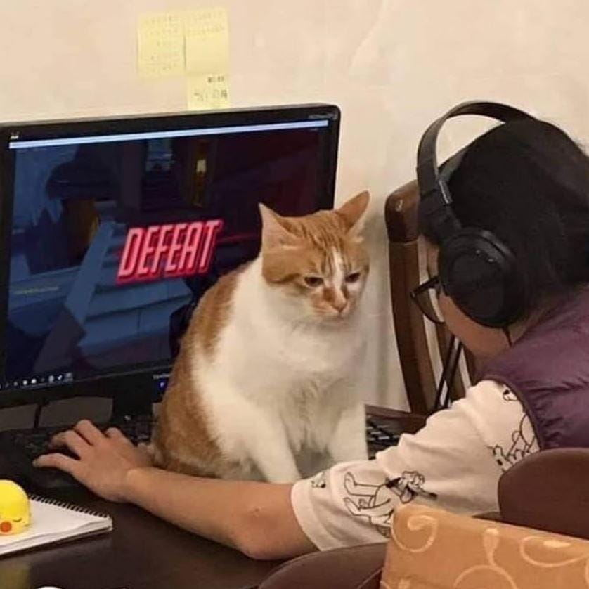 instagram.com/kucinggua