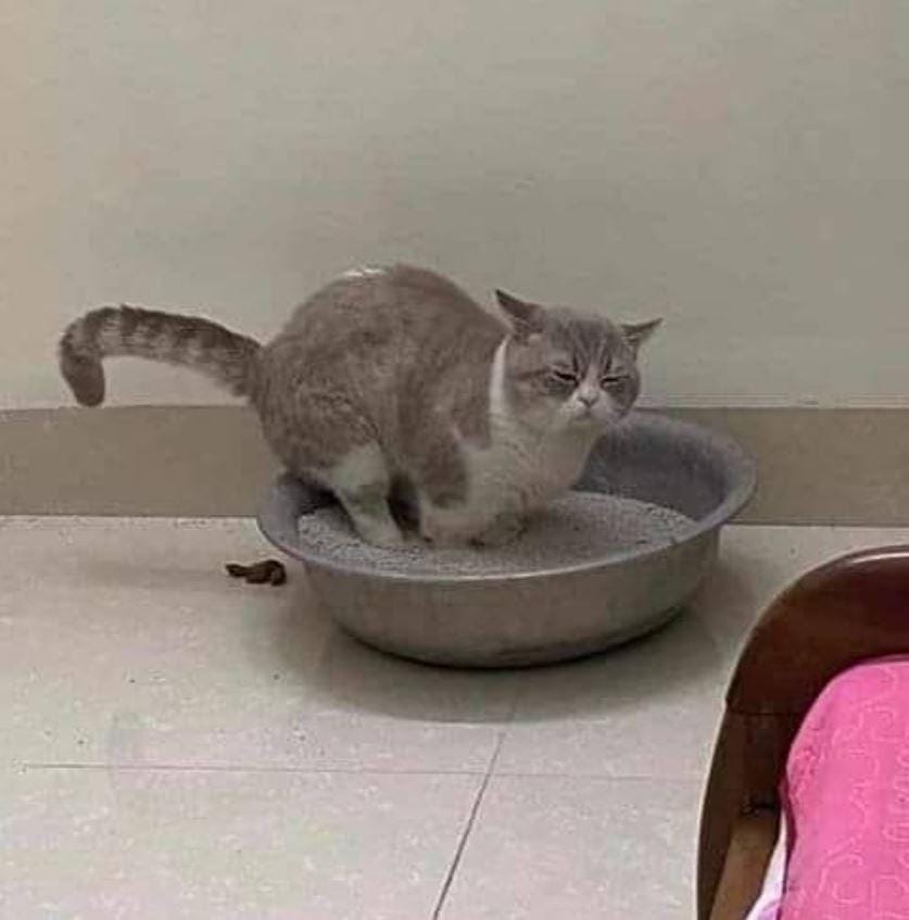 instagram.com/sukijan.id