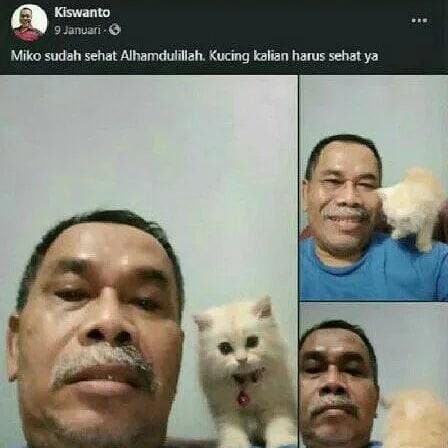 instagram.com/kucinggua