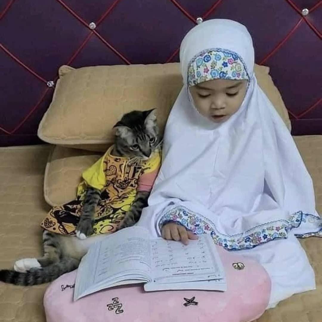 instagram.com/kucinggua