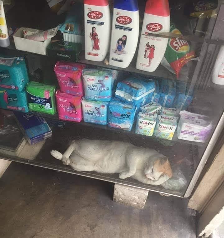 instagram.com/sejay_mantap