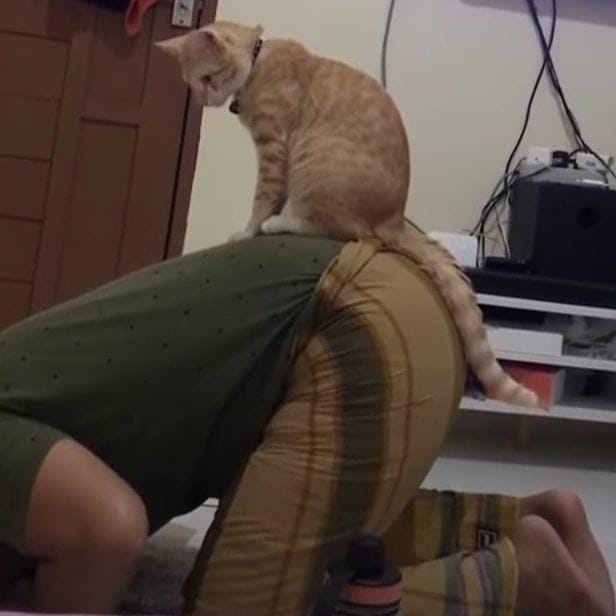 instagram.com/kucinggua