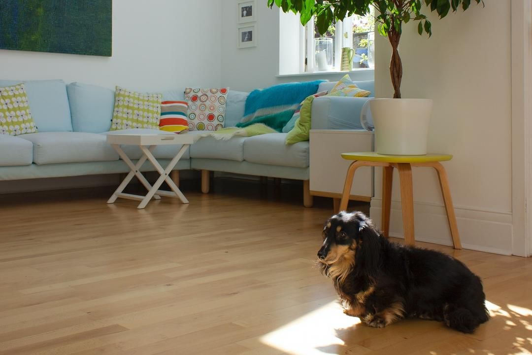 Unsplash.com/Darren Richardson