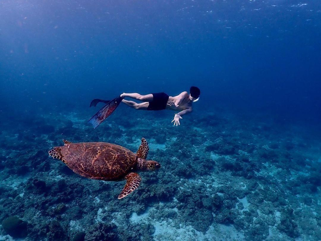 instagram.com/thebeamishere