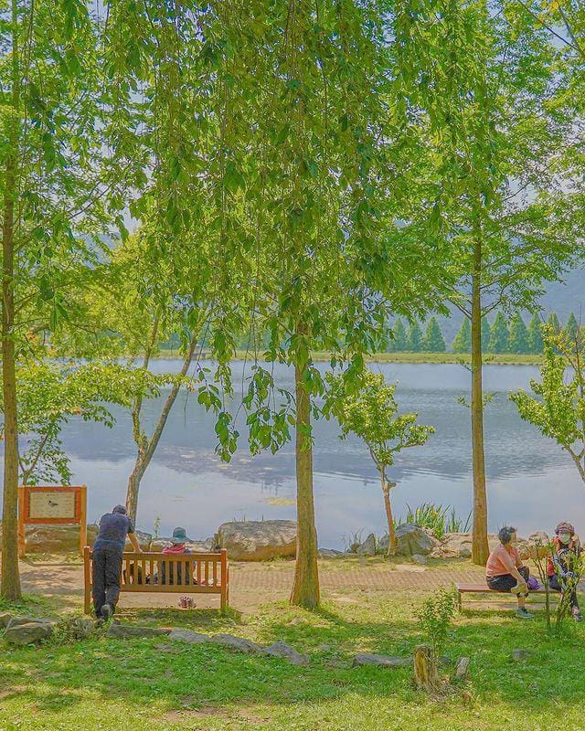 instagram.com/@from.nal