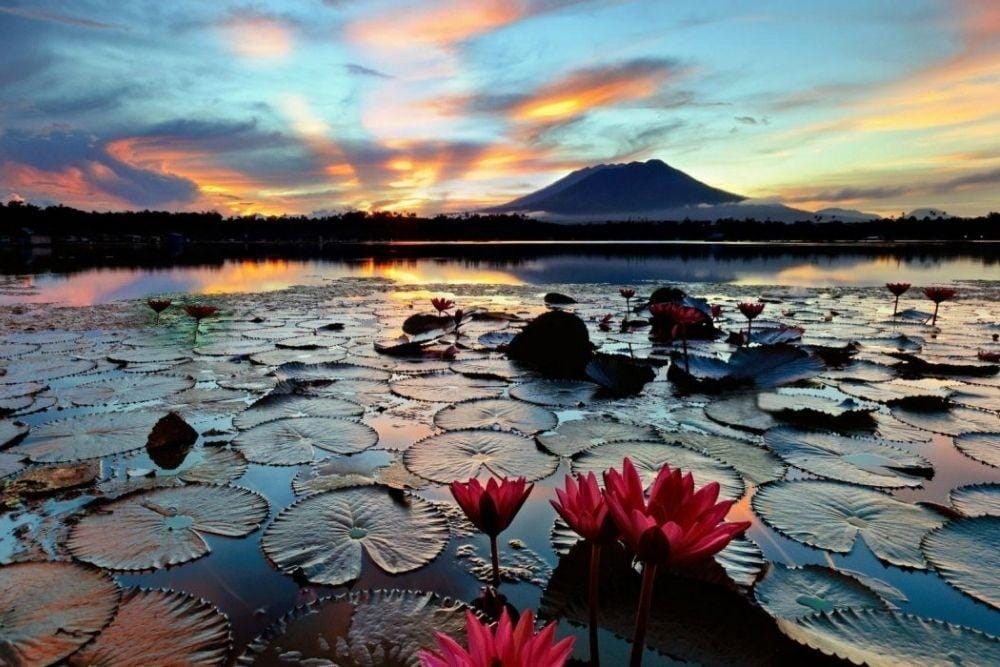 wallpaperup.com/mamaru