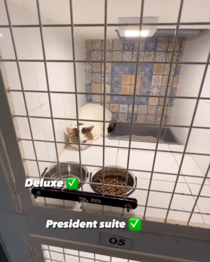 Instagram.com/tya_ariestya