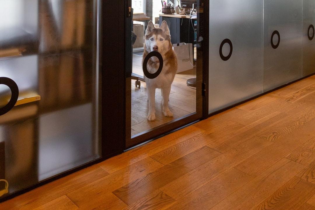 Unsplash.com/Petr Magera