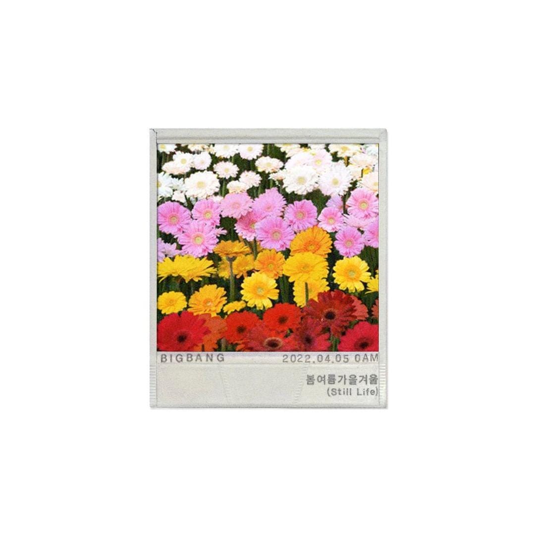 instagram.com/yg_ent_official