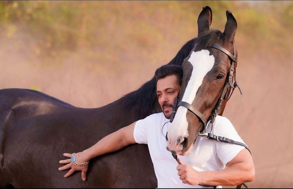 Instagram.com/beingsalmankhan