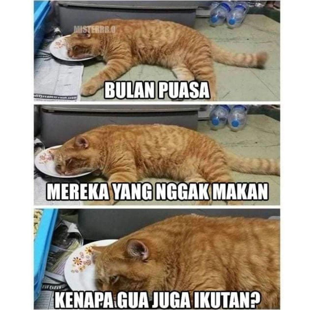 instagram.com/misterrr.0