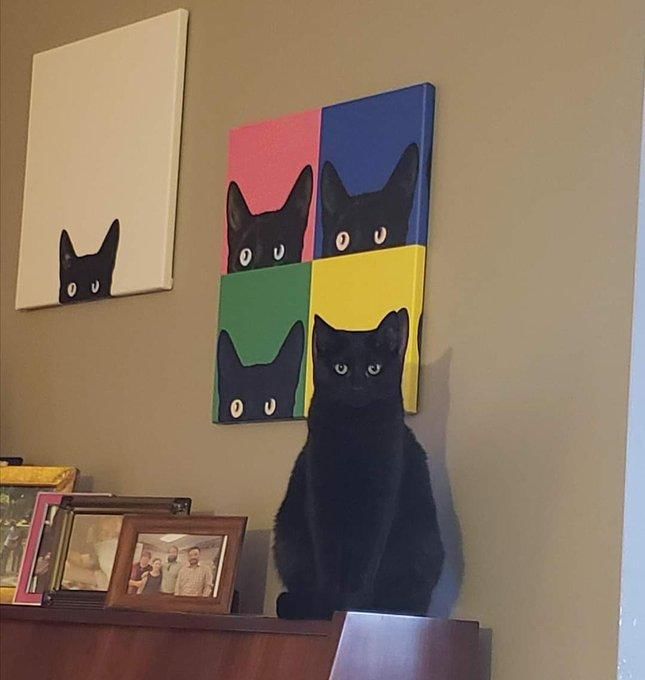 twitter.com/weirdlilguys