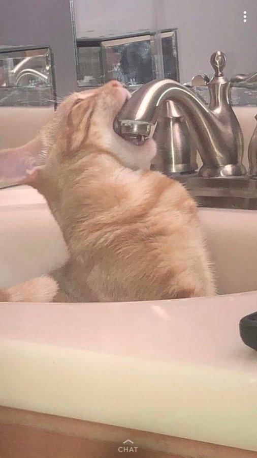 twitter.com/weirdlilguys