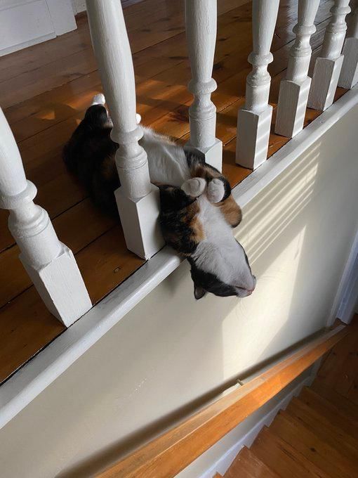 twitter.com/weirdlilguys