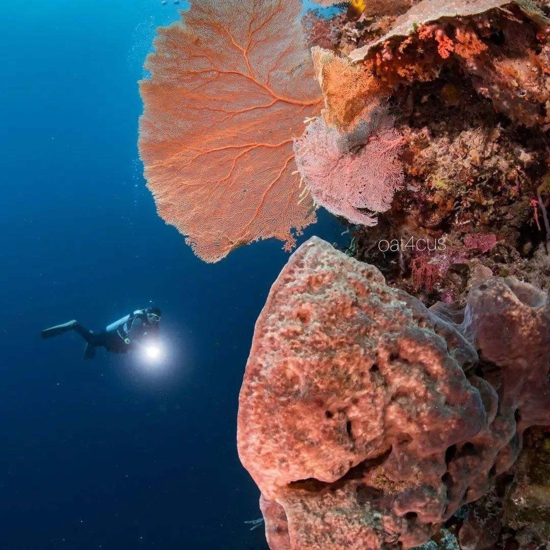 instagram.com/ode_hida