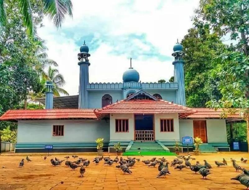 twitter.com/advaidism