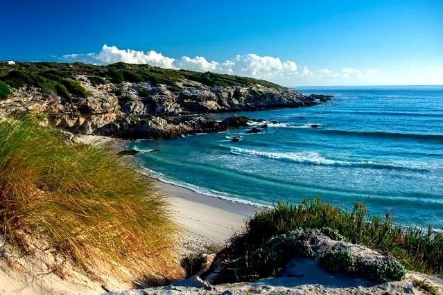 Instagram.com/portalbol