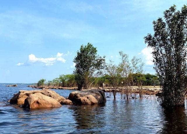 Instagram.com/vivamazonas