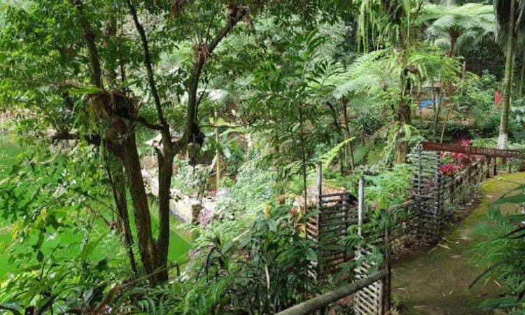 Google/Danu Masrifuddin