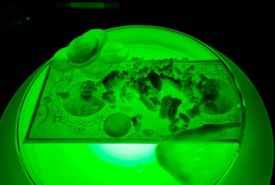 Popbela.com/Niken Ari