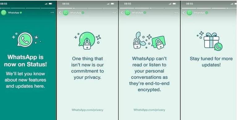 WhatsApp.com