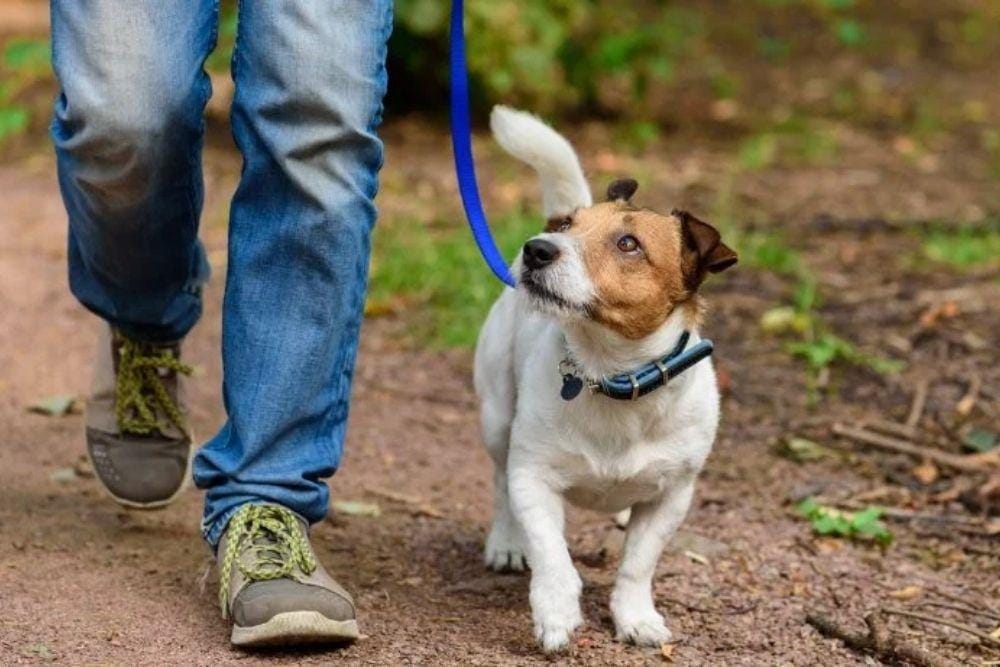 helpguide.org/articles