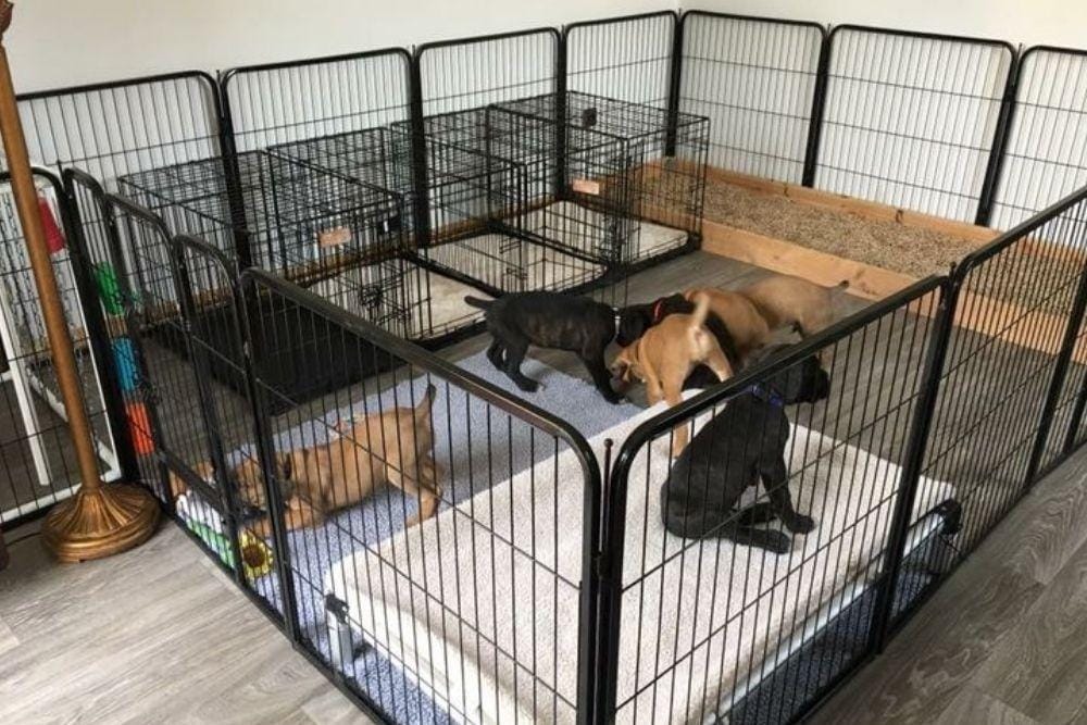 id.pinterest.com/MadisonWard3104