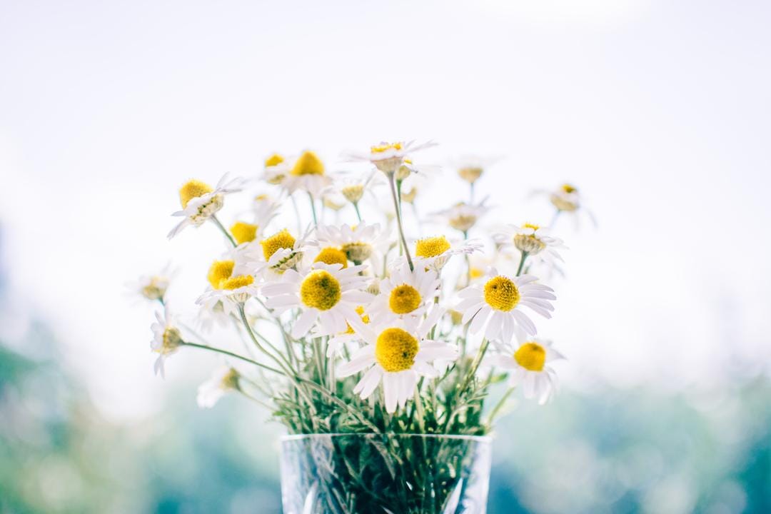 Unsplash.com/Rodion Kustaev