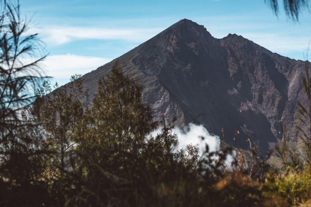 pexels.com/ROMAN ODINTSOV