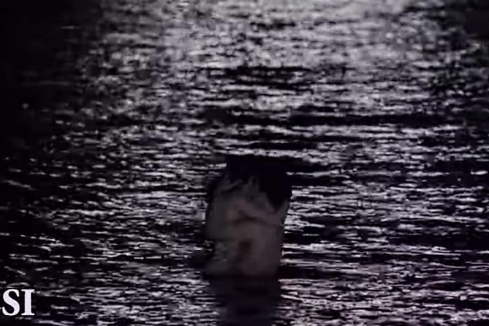 Youtube.com/ Seaside Imagine