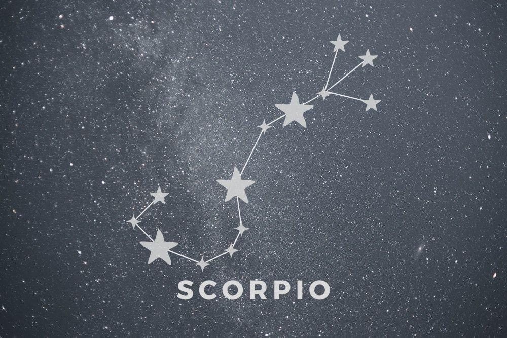 pexel.com/erik-mclean, canva.com