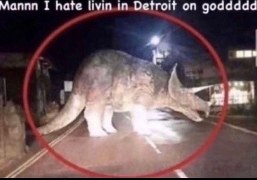 Twitter.com/ConfusingImages