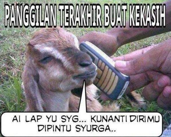 Stok Kocak