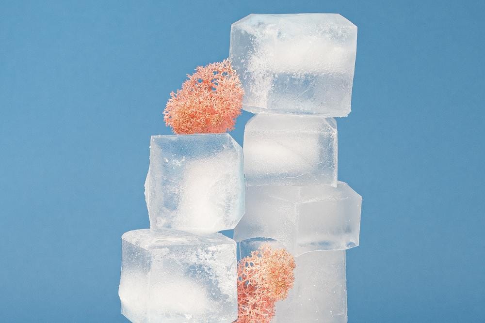 unsplash.com/vika wendish