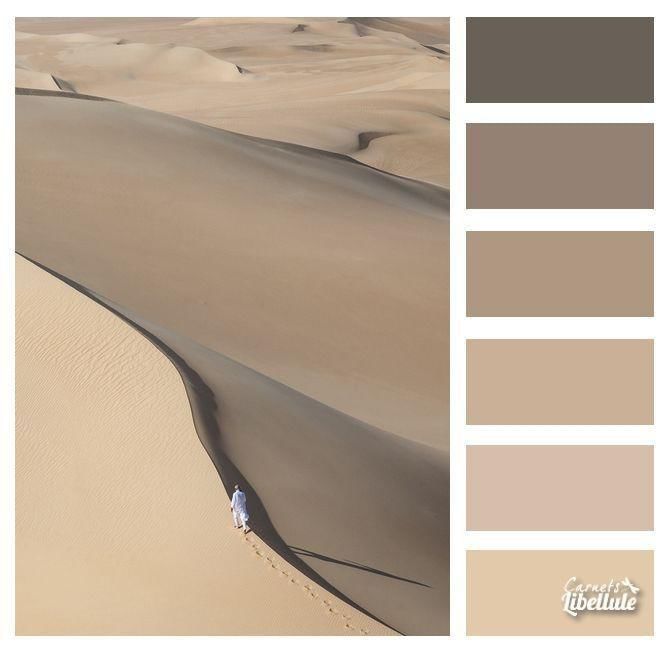 Dok. Carnets Libellule