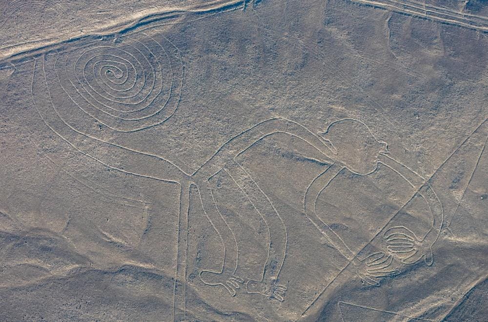 Commons.wikimedia.org/Diego Delso