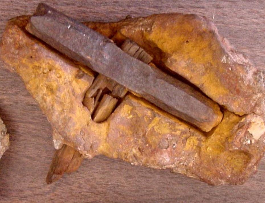 Commons.wikimedia.org/S. J. Miba