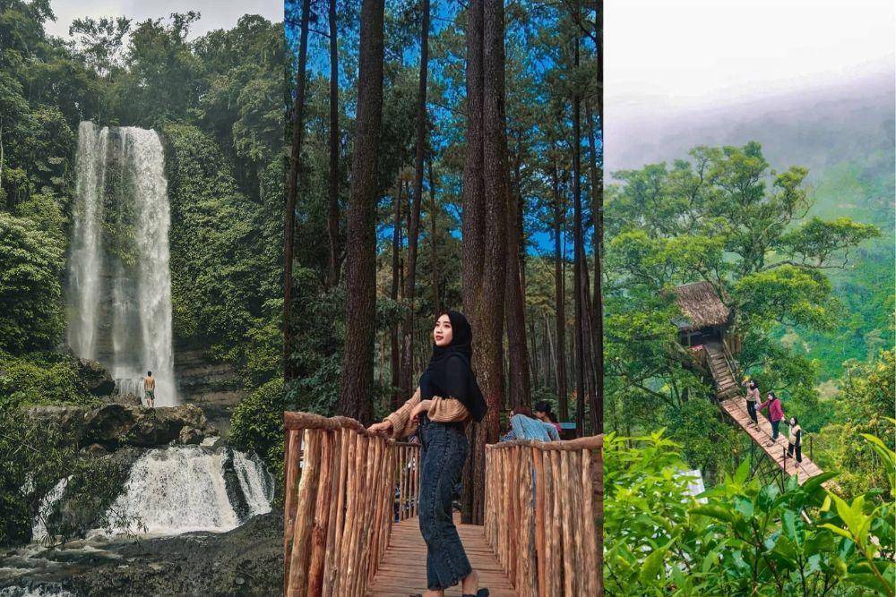 berbagai sumber