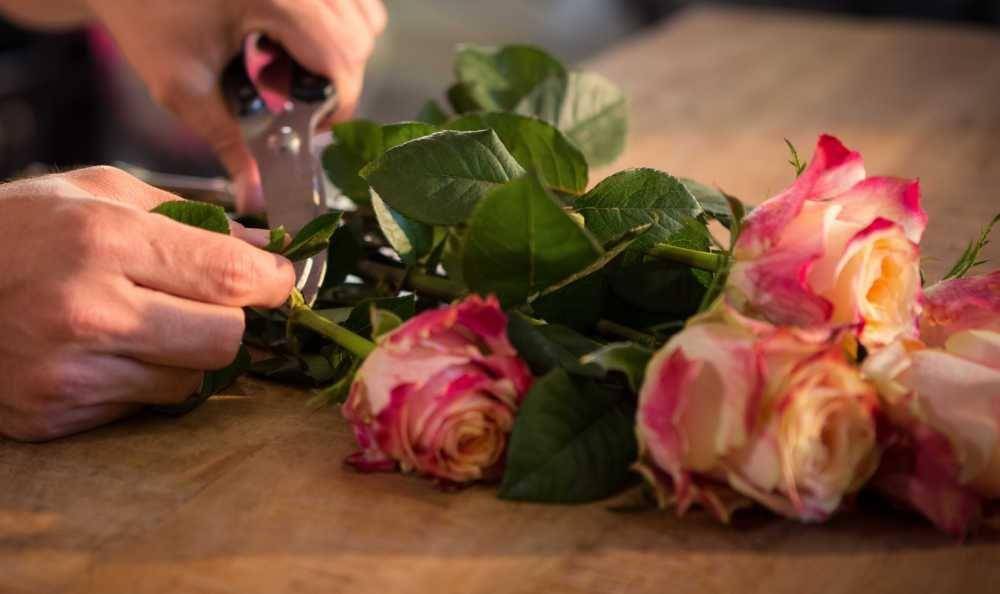 thegardeningcook.com