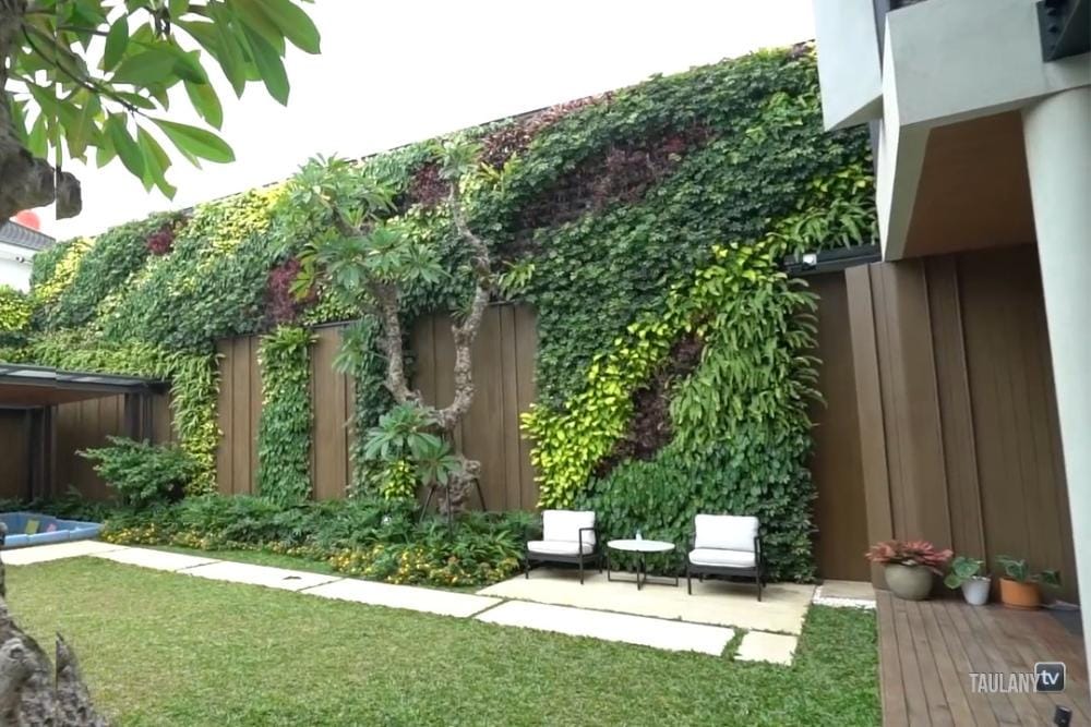 youtube.com/TAULANYTV