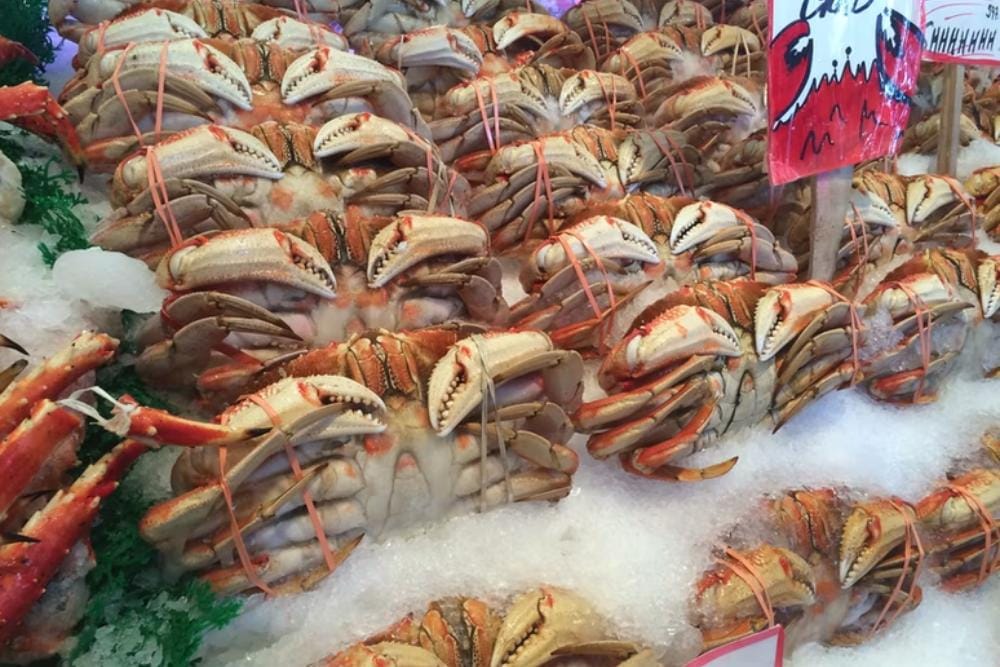 unsplash.com/bpyndus